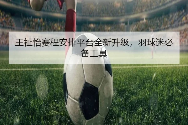 王祉怡赛程安排平台全新升级，羽球迷必备工具